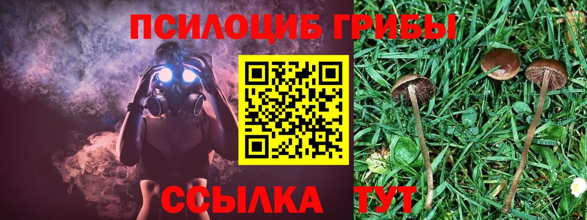 Галлюциногенные грибы мицелий  Псилоцибиновые грибы Cubensis  Вход с VPN  Кирово-Чепецк 